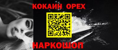 шишки Изобильный