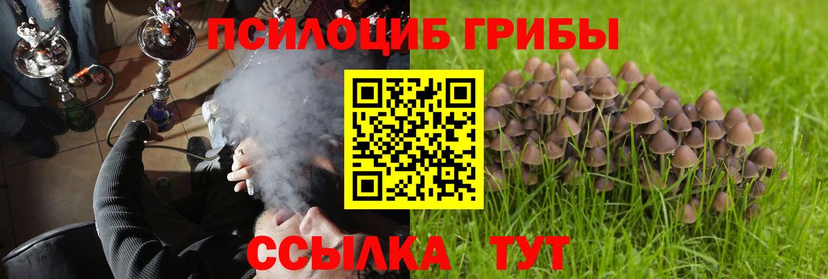 закладки  Псилоцибиновые грибы мухоморы  Трёхгорный  Вход с VPN  Галлюциногенные грибы MAGIC MUSHROOMS 